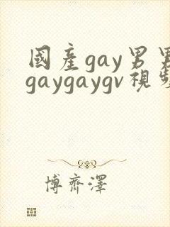 国产gay男男gaygaygv视频