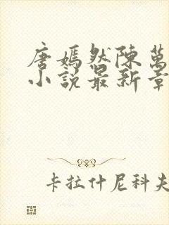 唐嫣然陈万年的小说最新章节阅读