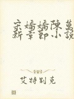 宋娇娇陈万里最新章节小说