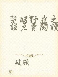 楚昭野崔之棠小说免费阅读最新章节