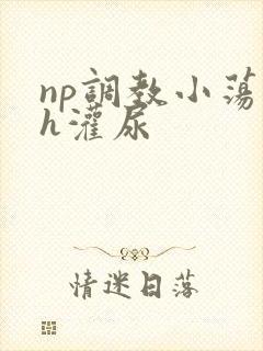 np调教小荡货h灌尿封面