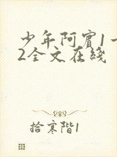 少年阿宾1一72全文在线