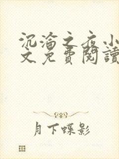 沉沦之夜小说全文免费阅读无弹窗