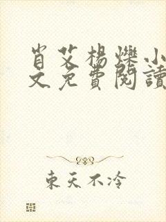 肖艾杨烁小说全文免费阅读笔趣阁