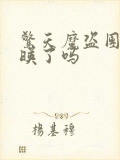 惊天魔盗团3上映了吗