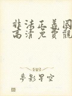 非法正义国语版高清免费观看