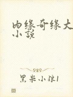 内缘奇缘大团圆小说