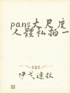 pans大尺度人体私拍一区