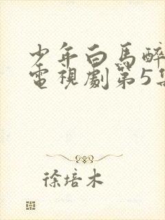 少年白马醉春风电视剧第5集封面