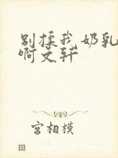 别揉我奶乳嗯～啊文轩封面