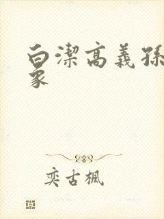 白洁高义孙倩大象