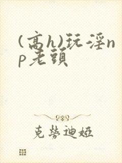 (高h)玩淫np老头