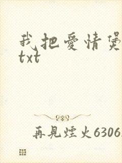 我把爱情煲成汤txt