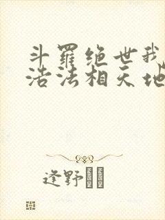 斗罗绝世我霍雨浩法相天地笔趣阁封面