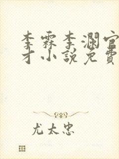 李霖李澜官场奇才小说免费阅读封面