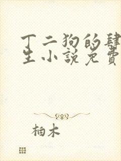 丁二狗的肆意人生小说免费阅读封面