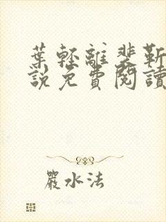 叶轻离裴靳墨小说免费阅读无弹窗