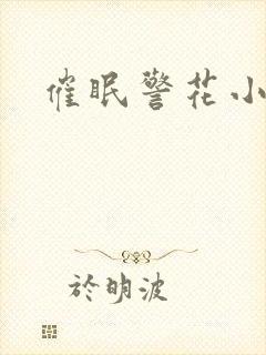 催眠警花小说