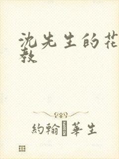 沈先生的花式调教封面