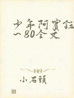 少年阿宾钰慧1～80全文