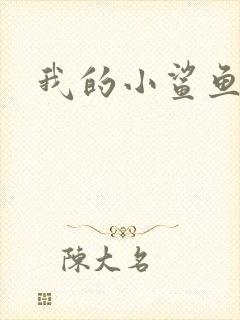我的小鲨鱼