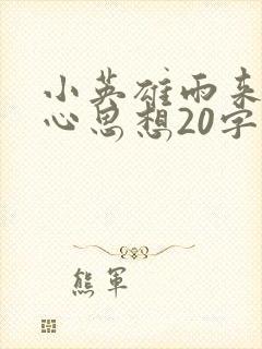 小英雄雨来的中心思想20字