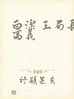 白洁 王局长 高义封面