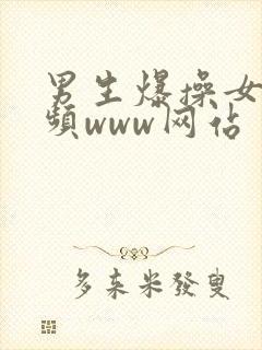 男生爆操女生视频www网站