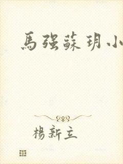 马强苏玥小说封面