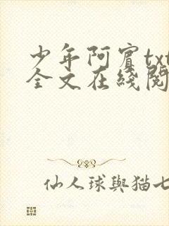 少年阿宾txt全文在线阅读