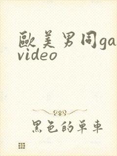 欧美男同gayvideo封面