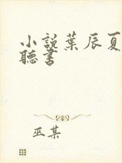 小说叶辰夏若雪听书封面