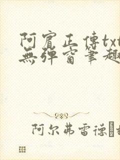 阿宾正传txt无弹窗笔趣阁