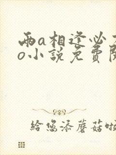 两a相逢必有一o小说免费阅读无删减封面