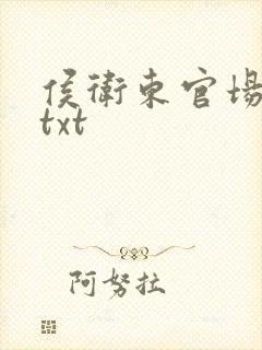 侯卫东官场笔记txt