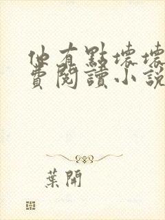 他有点坏坏的免费阅读小说