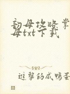 韵母攻略掌中美母txt下载封面