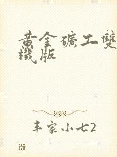 黄金矿工双人联机版封面