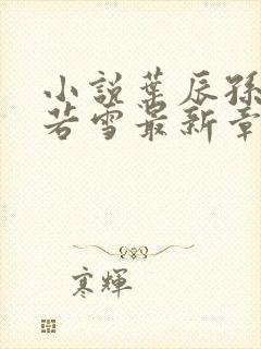 小说叶辰孙怡夏若雪最新章节阅读封面