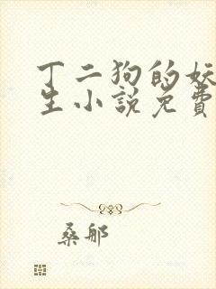 丁二狗的妖孽人生小说免费阅读