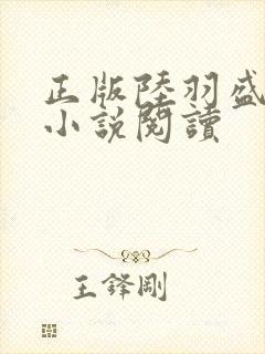 正版陆羽盛凌云小说阅读