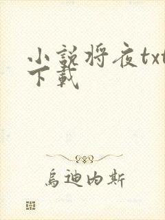 小说将夜txt下载