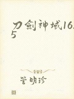 刀剑神域16.5