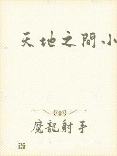 天地之间小说