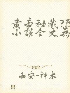 黄帝秘藏?陈启小说全文无删减