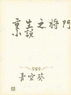 重生之将门毒后小说
