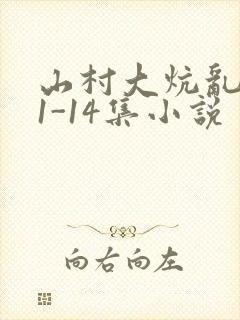 山村大炕乱肉续1-14集小说