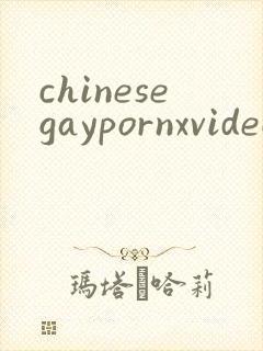 chinesegaypornxvideos