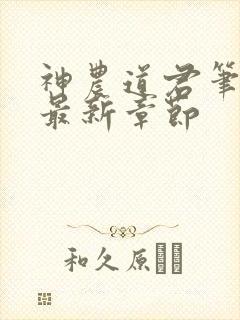 神农道君笔趣阁最新章节