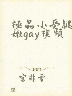 极品小受腿长白嫩gay视频封面